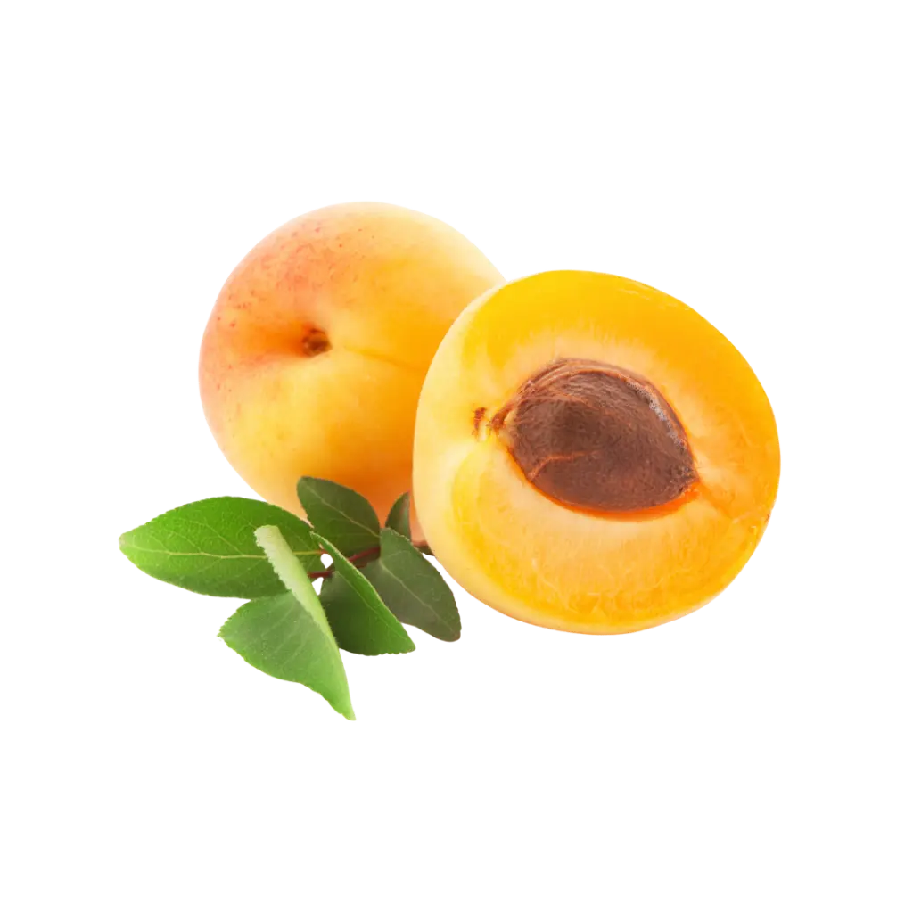 _FOTOS SFONDO 2 (2).webp