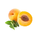 _FOTOS SFONDO 2 (2).webp