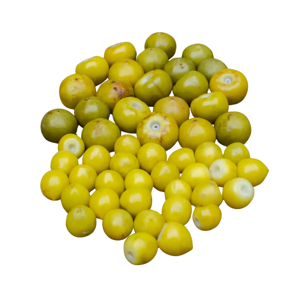 _FOTOS SFONDO 2 (3).webp