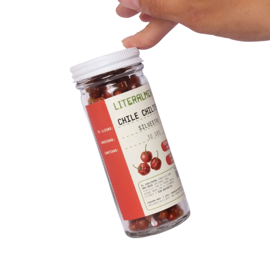 _FOTOS SFONDO 2 (1).webp