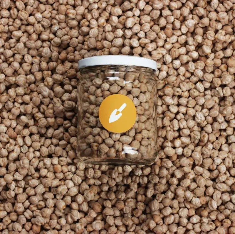 Garbanzo