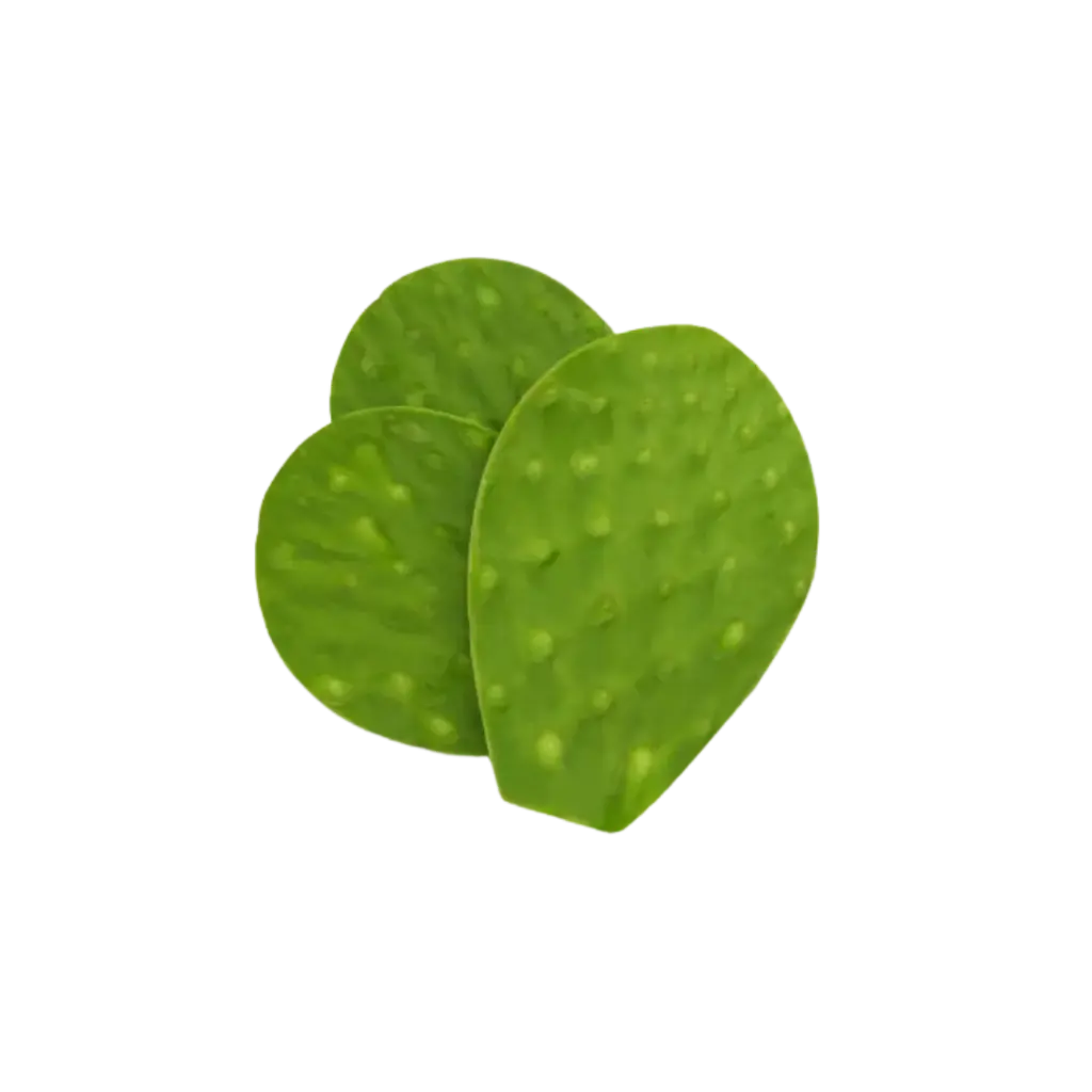 Nopal Limpio (500 gr)