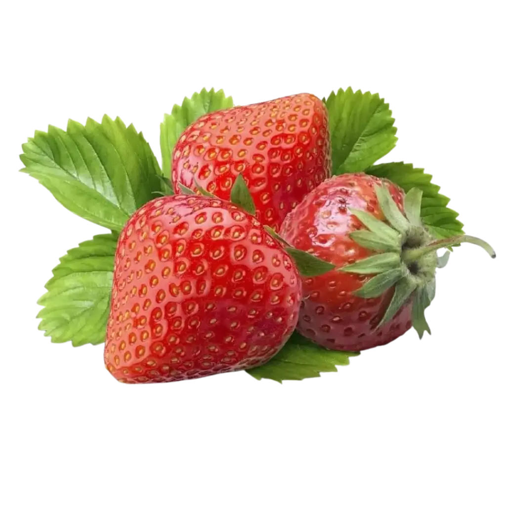 Fresa Agroecológica Paq 450gr