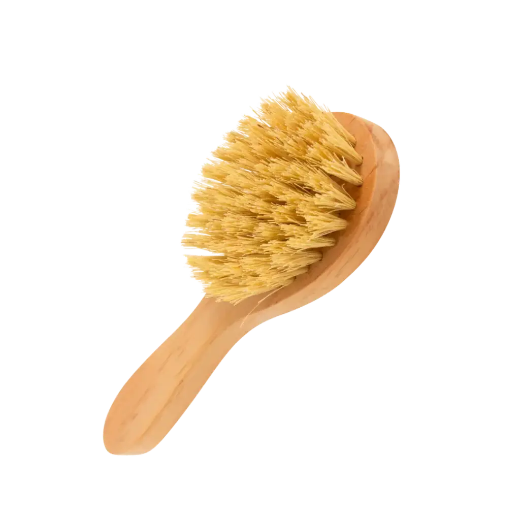 [C026H] Cepillo Corporal con mango para Baño 