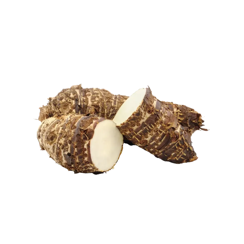 Yuca