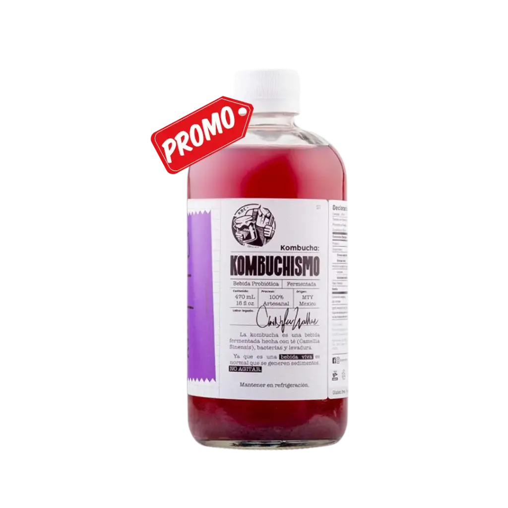 Kombucha Blueberry - 470ml
