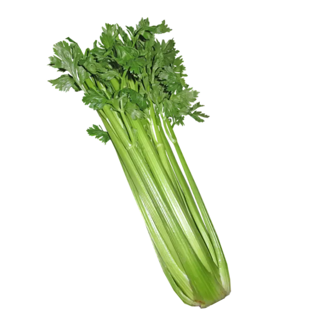 Apio Pieza Completa