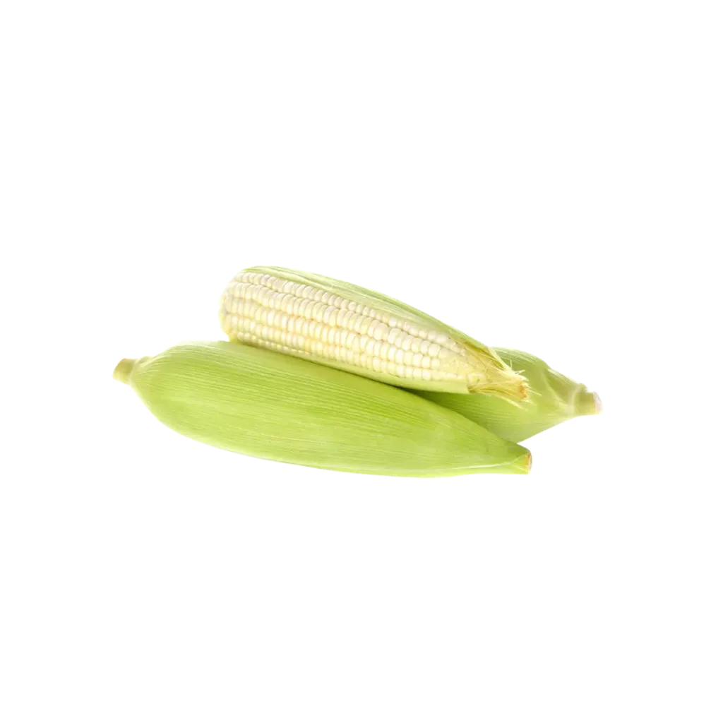 [2168485] Elote / Pz