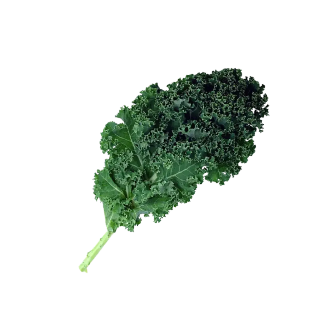 Kale o Col rizada / Mjo