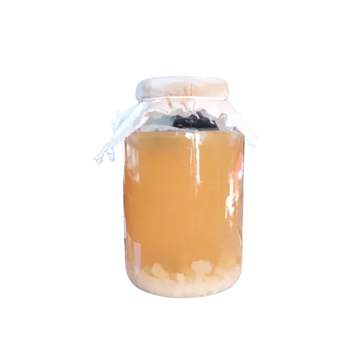 [2168216] Tibicos - Kefir agua