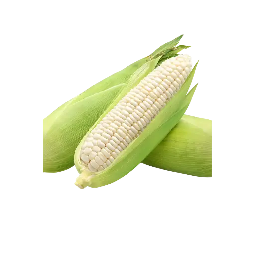 [2168485] Elote / Pz