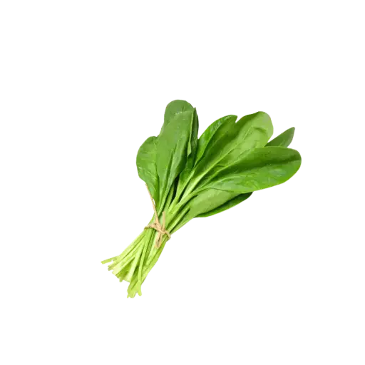 [2168486] Espinaca / Mjo