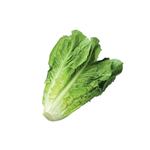 [2168493] Lechuga Orejona / Pz