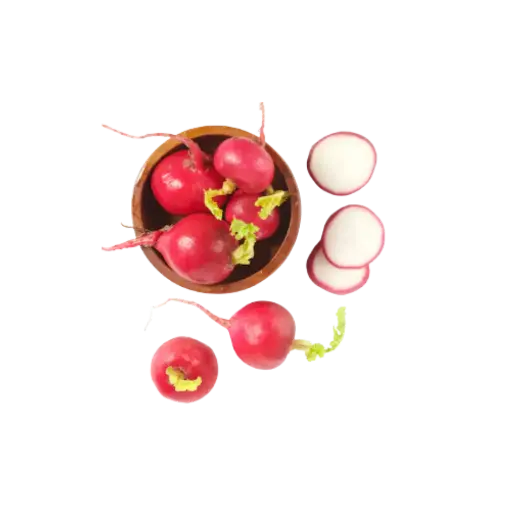 [2168515] Rabano Rosa / Mjo