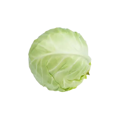 [2168544] Repollo o Col / Pz