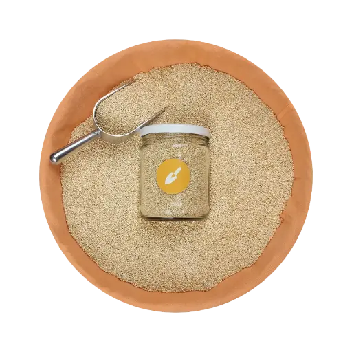 Quinoa Blanca