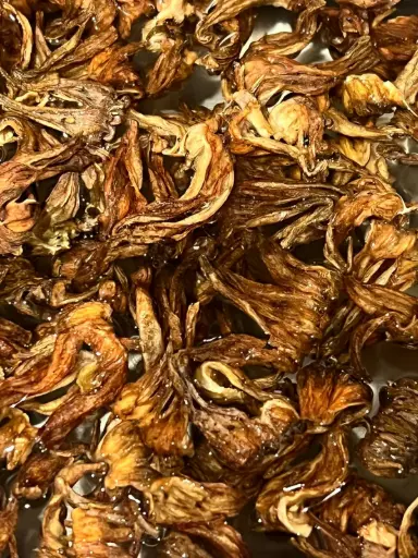 Flor de Jamaica Amarilla 200 grs