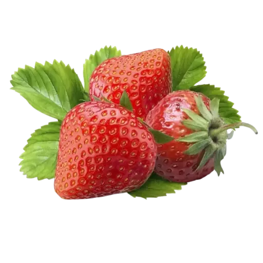 [2169573] Fresa Agroecológica Paq 450 gr
