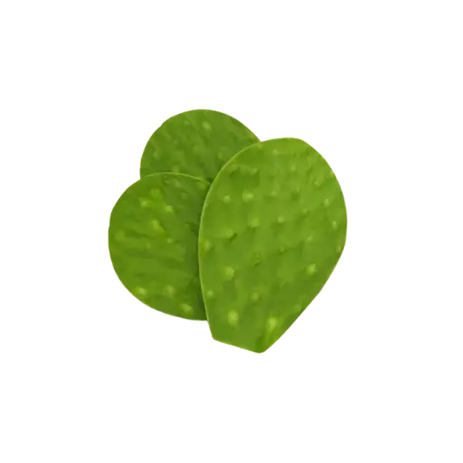 Nopal