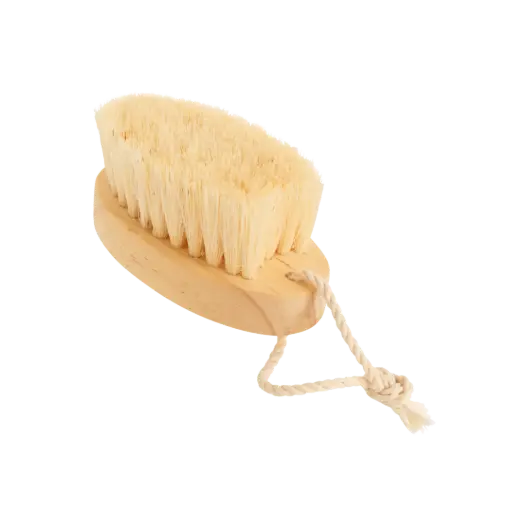 [C035] Cepillo Corporal sin Mango